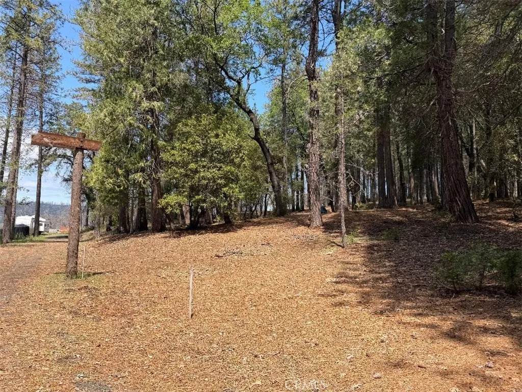 4631 Dear Abby - Photo 1
