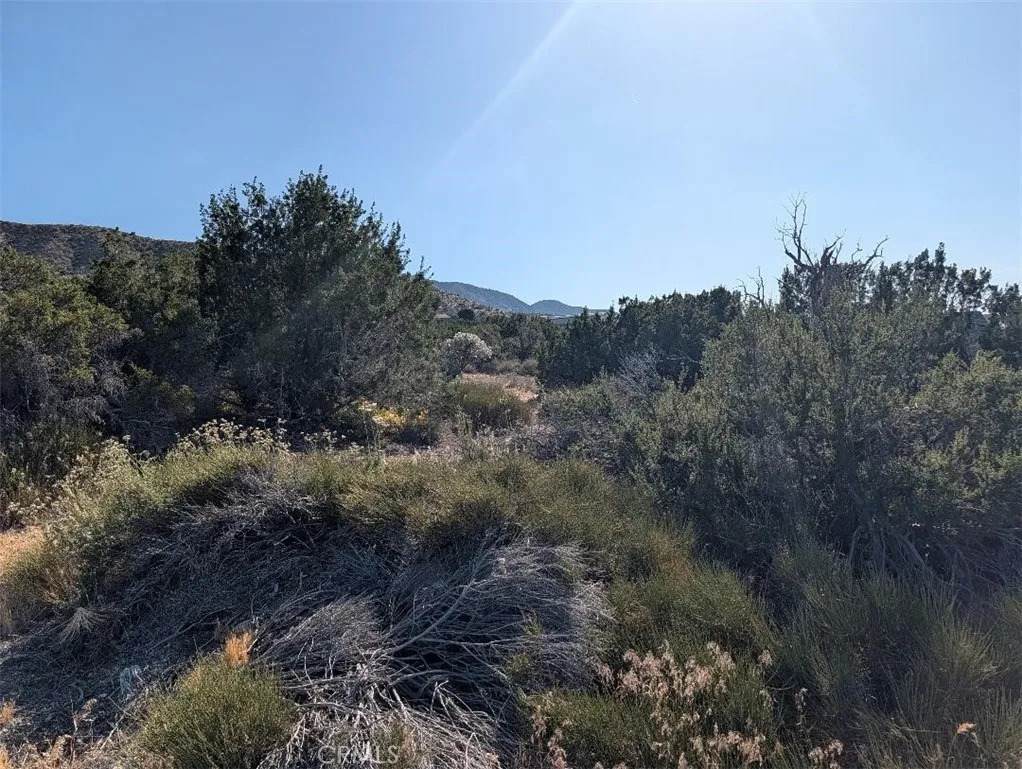 8 Mountain - Photo 1