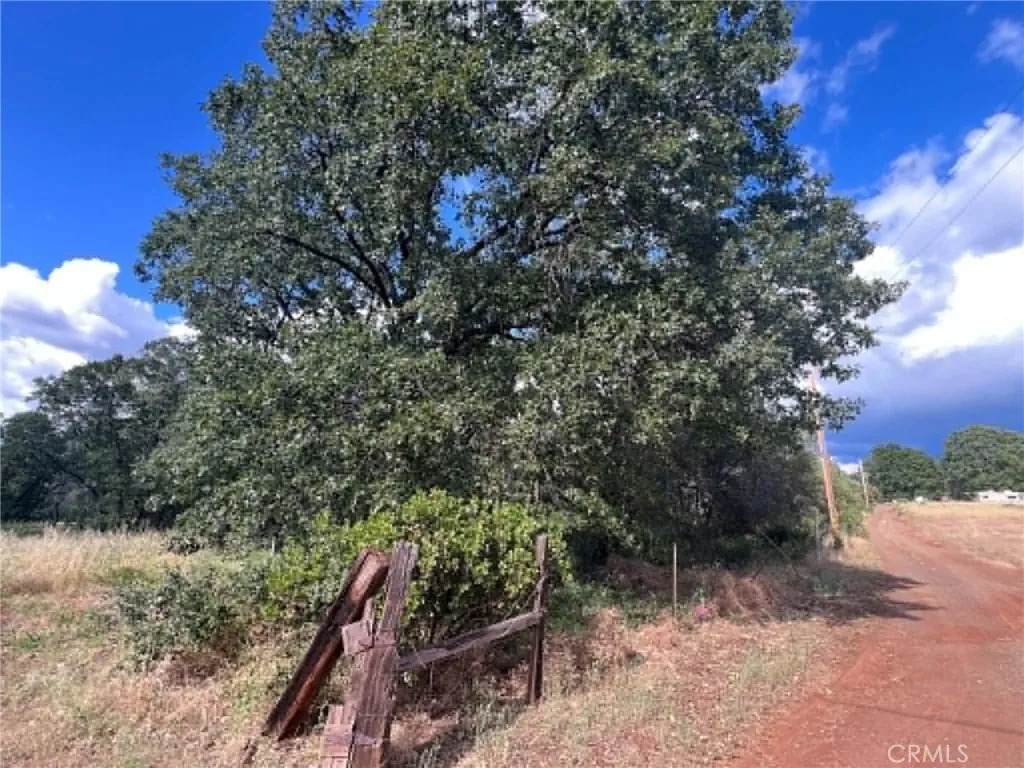 0 Manton School Rd - Photo 1
