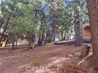 0 Encina - Photo 1