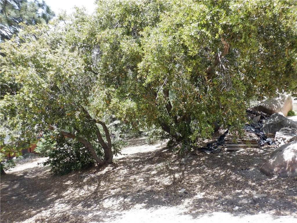 https://bt-photos.global.ssl.fastly.net/sandiego/orig_boomver_1_306736659-1.jpg