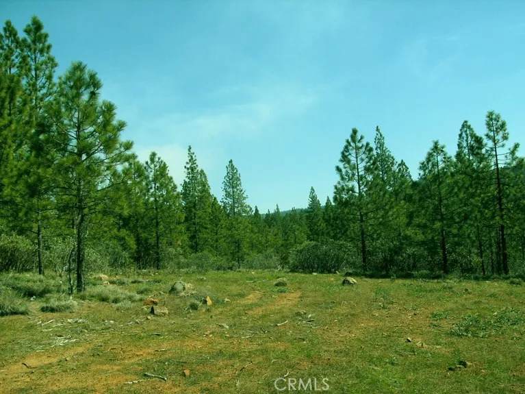 36 Allen - Photo 1