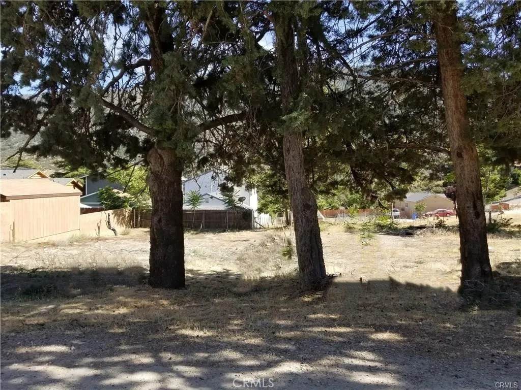 4232 Willow - Photo 1
