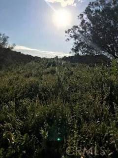 https://bt-photos.global.ssl.fastly.net/sandiego/orig_boomver_1_306738485-1.jpg