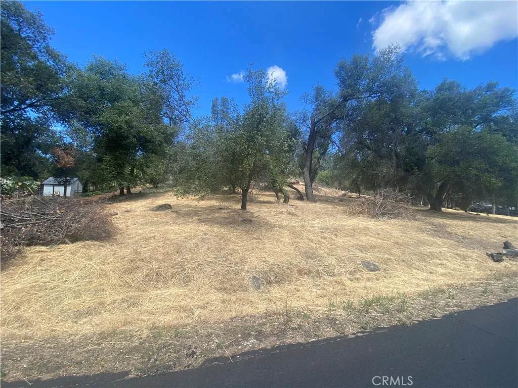20393 Powder Horn - Photo 1