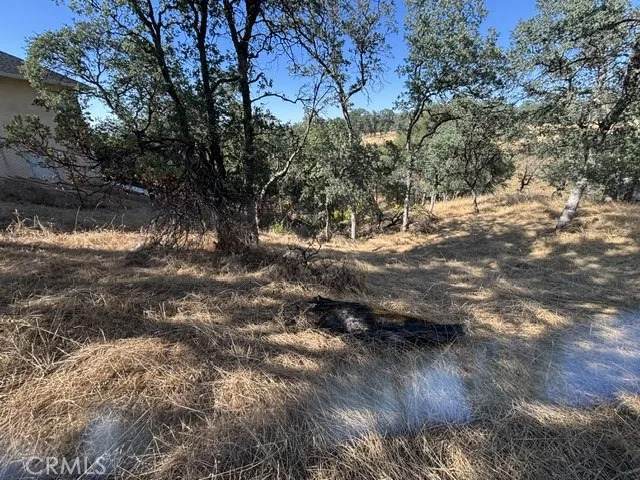 19932 Freshwater - Photo 1