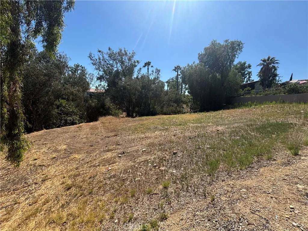 8901 Camino Predera - Photo 1