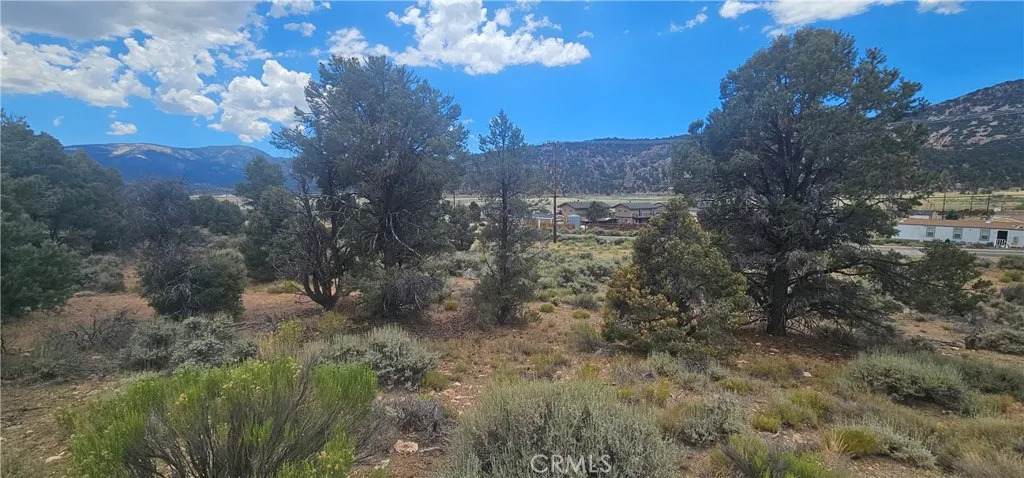 0 Baldwin Lake - Photo 1
