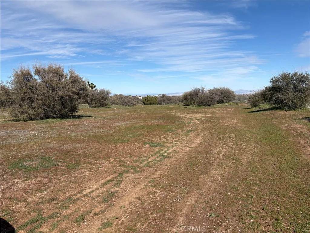 8350 Cedar - Photo 1