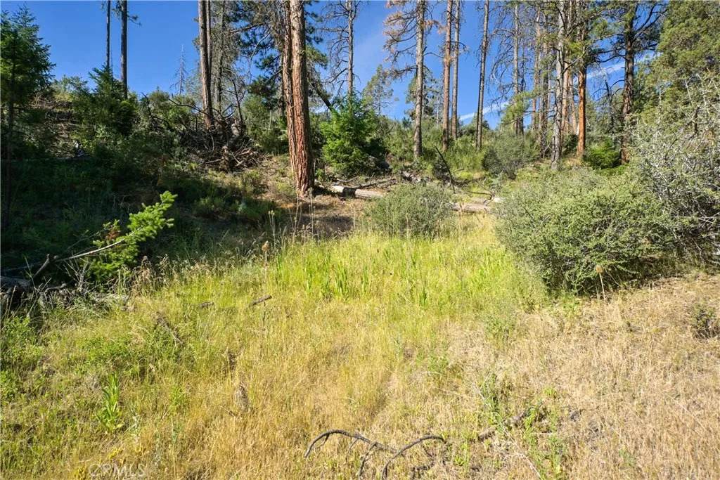 1 Duzel Creek Road - Photo 1