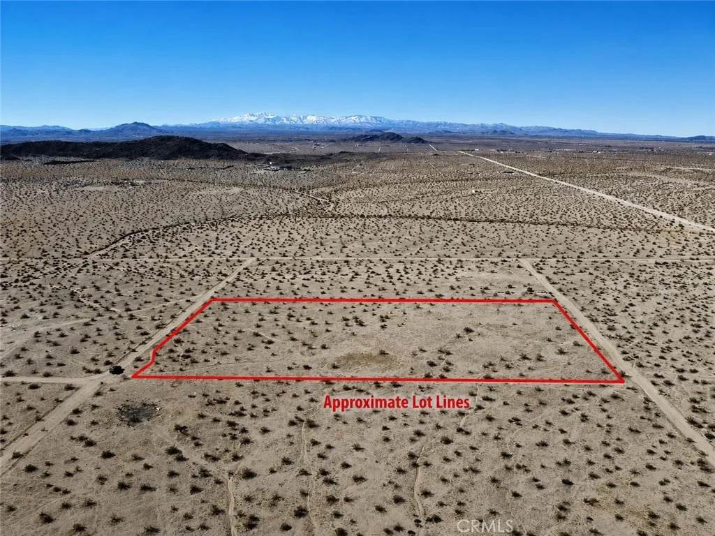 0 Desert Lily - Photo 1