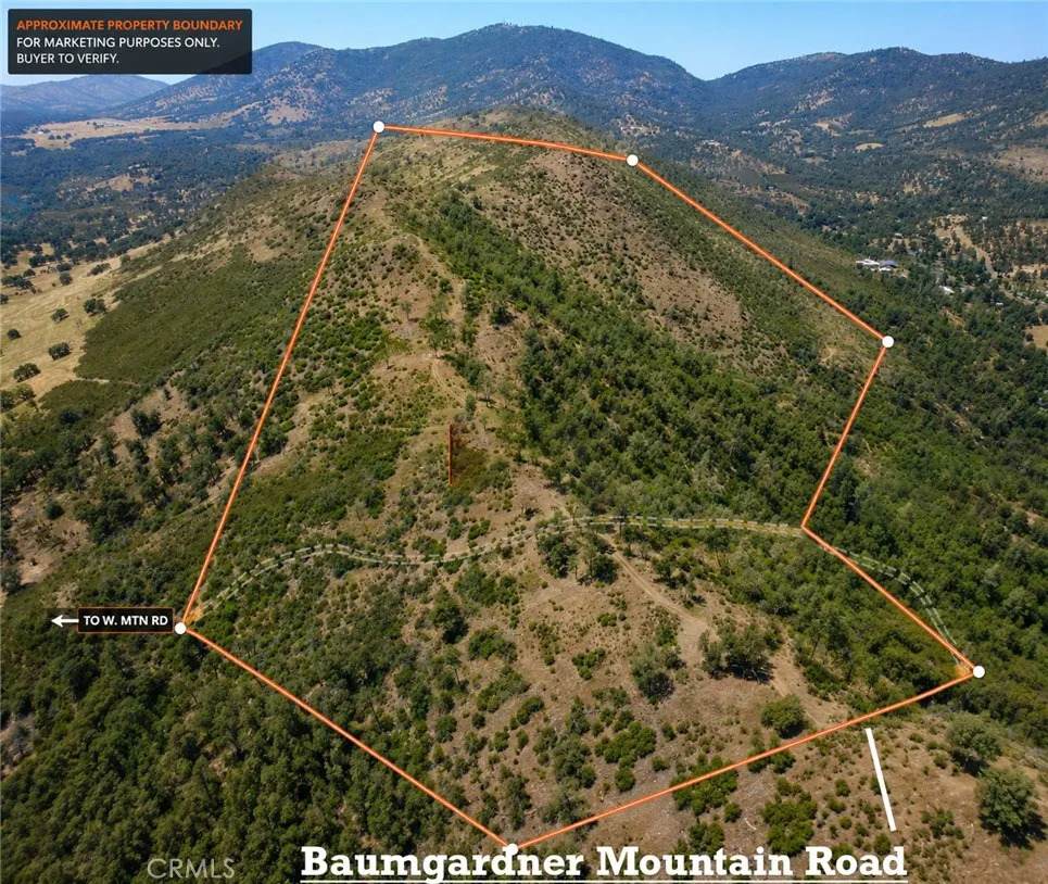 0 Bumguardner Mtn. Road - Photo 1
