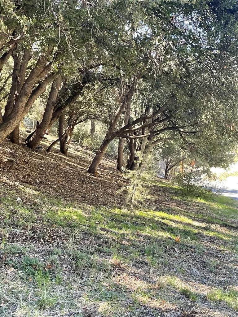 https://bt-photos.global.ssl.fastly.net/sandiego/orig_boomver_1_306754770-1.jpg