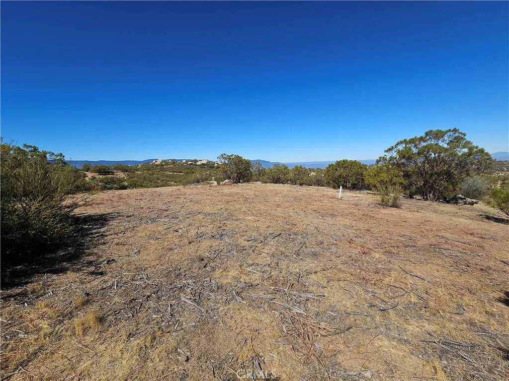 717 Arroyo Way - Photo 1