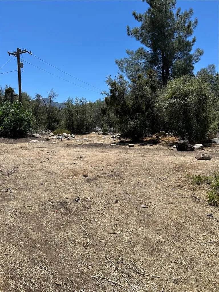 248 Bodfish Canyon - Photo 1