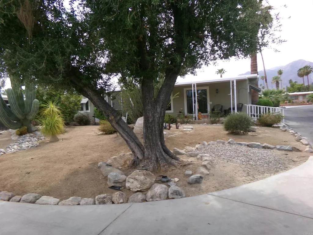 1010 Palm Canyon - Photo 1