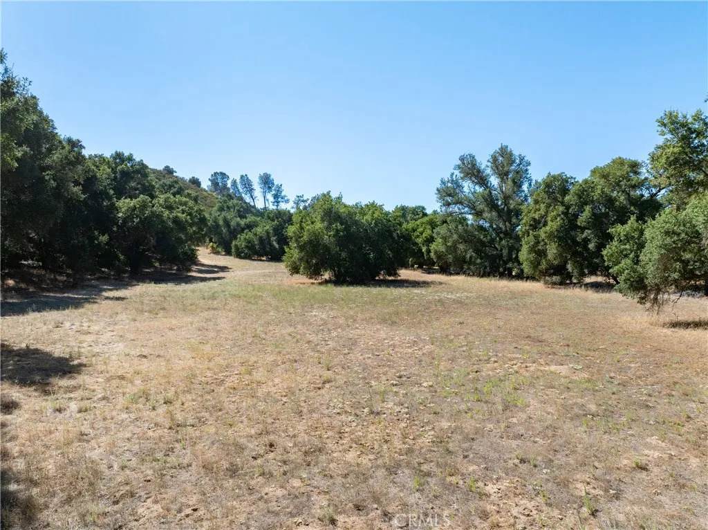9107 Horseshoe Canyon Road - Photo 1