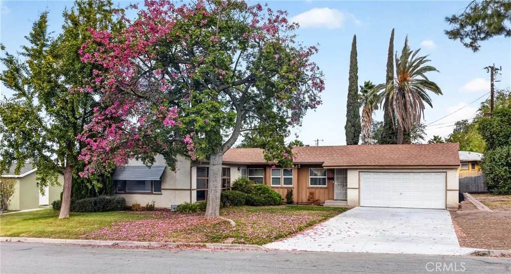 11167 Rosarita Drive - Photo 1