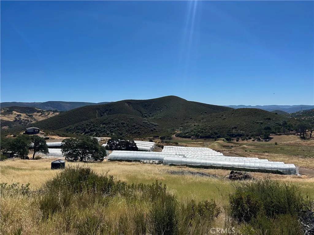 25432 Jerusalem Grade - Photo 1