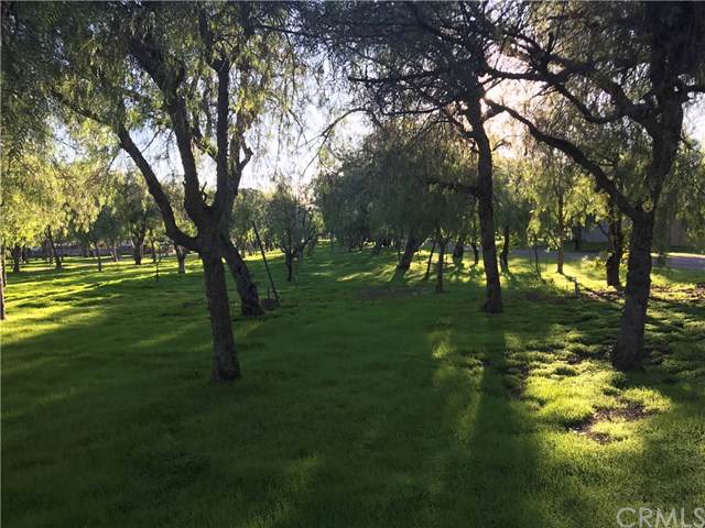 31252 Mountain View Road - Photo 1