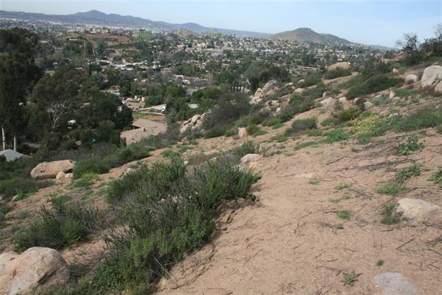 00 Vista Valley Rim Pl - Photo 1