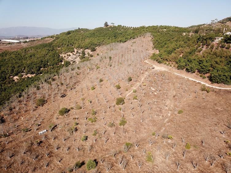 5 acres Ridge Creek Rd - Photo 1