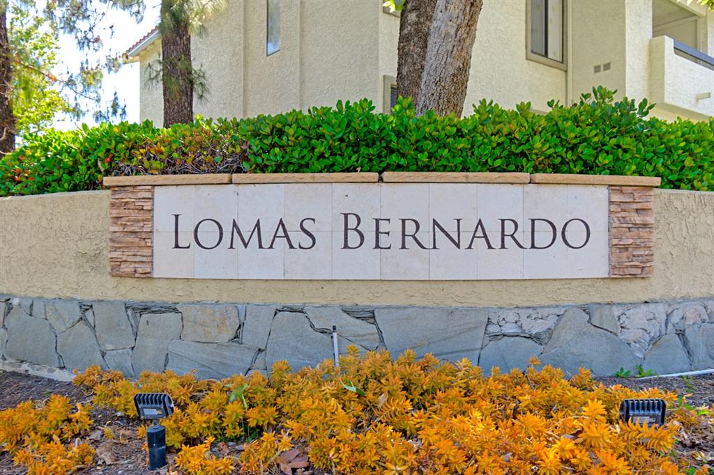 11896 Paseo Lucido - Photo 1