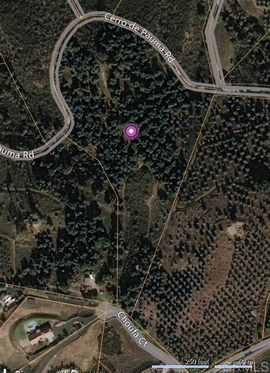 15550 Cerro De Pauma - Photo 1 15550 Cerro De Pauma - Photo 1
