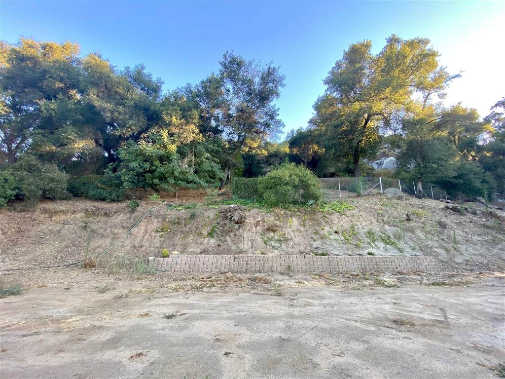 Woods Valley Rd - Photo 1