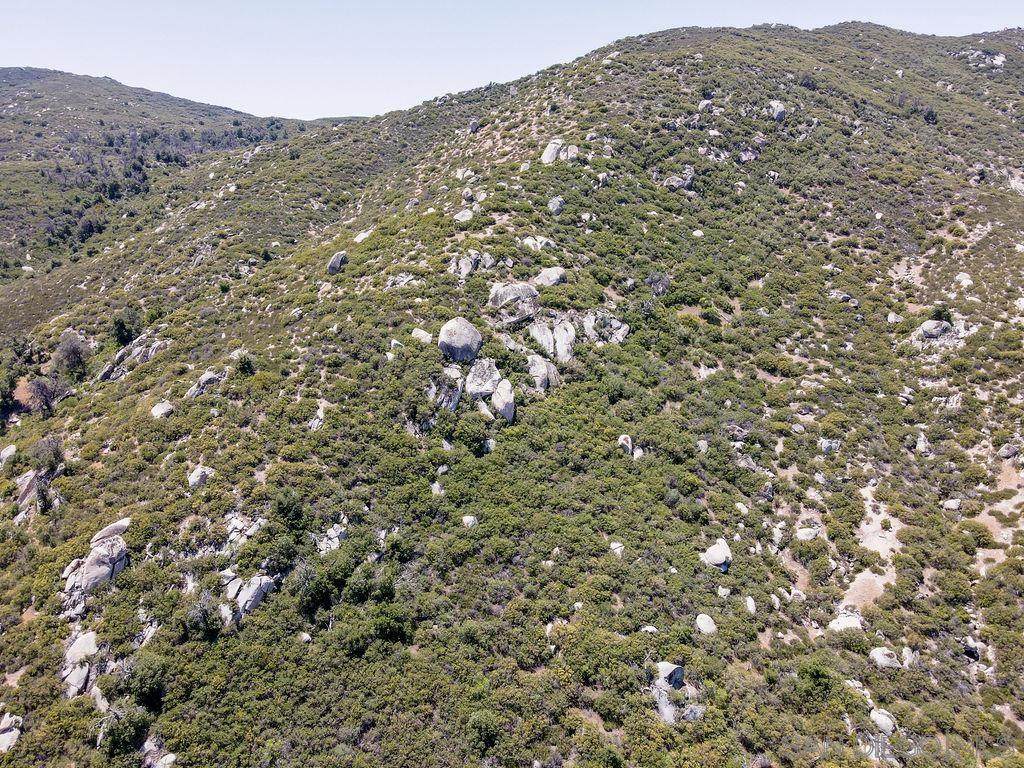0 Highway 79 - Photo 1