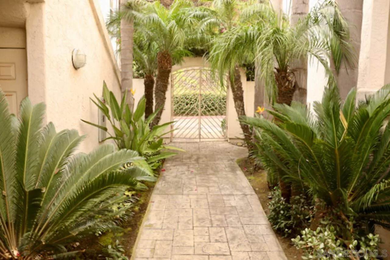 2862 Torrey Pines Rd - Photo 1