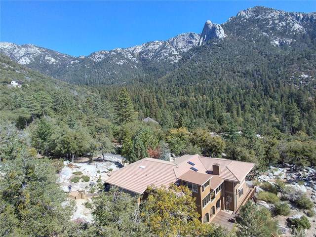 55001 Forest Haven Drive - Photo 1
