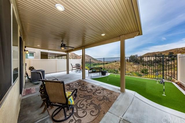 24109 Darmera Drive - Photo 1