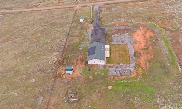 4890 Dawson Road - Photo 1