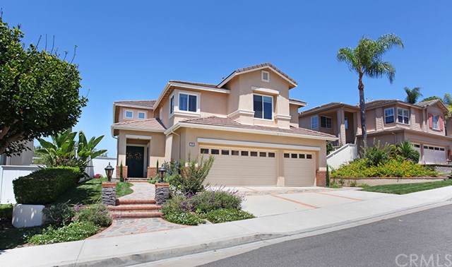 77 Rockrose - Photo 1