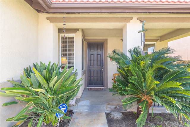 40870 Bouvier Court - Photo 1