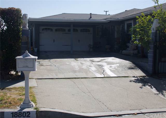 18802 Damasco Street - Photo 1