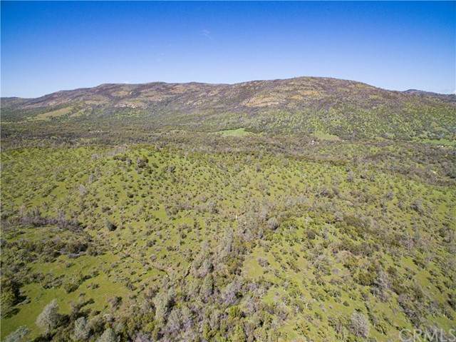 6740 Pendola Garden - Photo 1