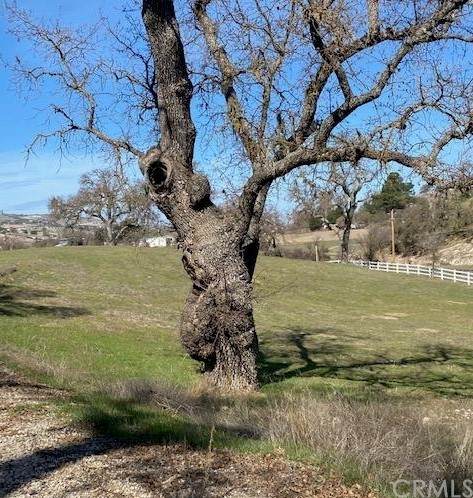 1440 Fire Rock Loop - Photo 1