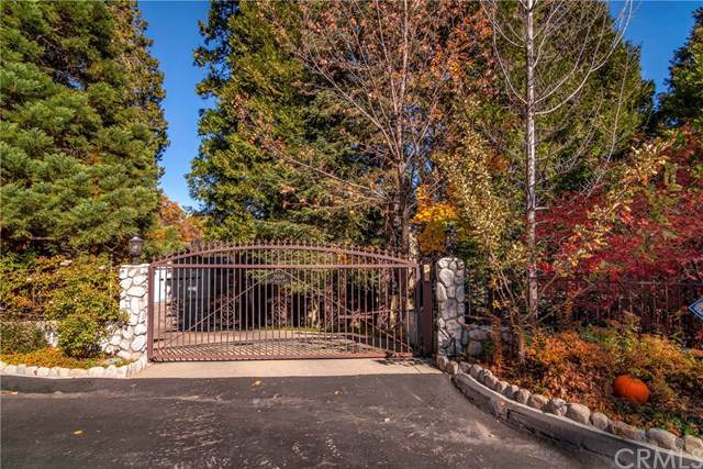 29049 Red Grouse Court - Photo 1