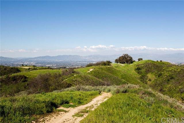1 Mulholland - Photo 1