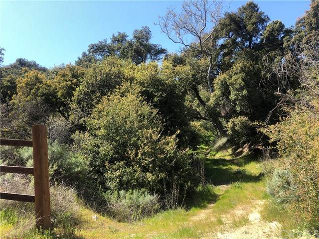 0 Paseo Chaparro - Photo 1