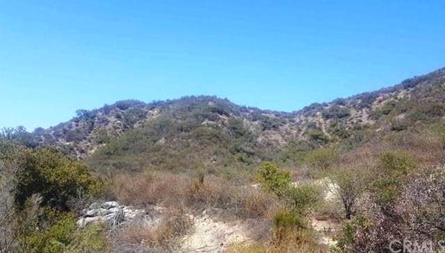 0 Paseo Chaparro - Photo 1