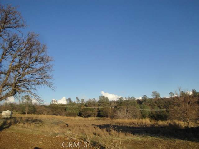 4288 Olive - Photo 1
