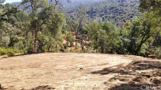 0 Oak - Photo 1