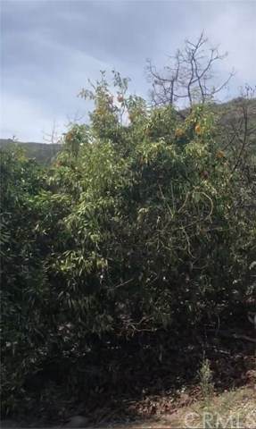 12 Calle Colina - Photo 1