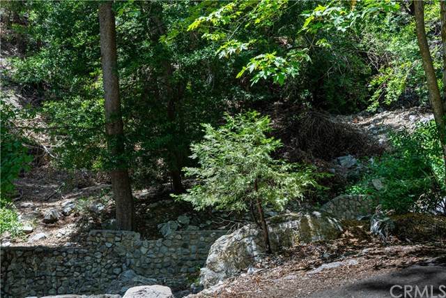 6669 Bear Canyon - Photo 1 6669 Bear Canyon - Photo 1
