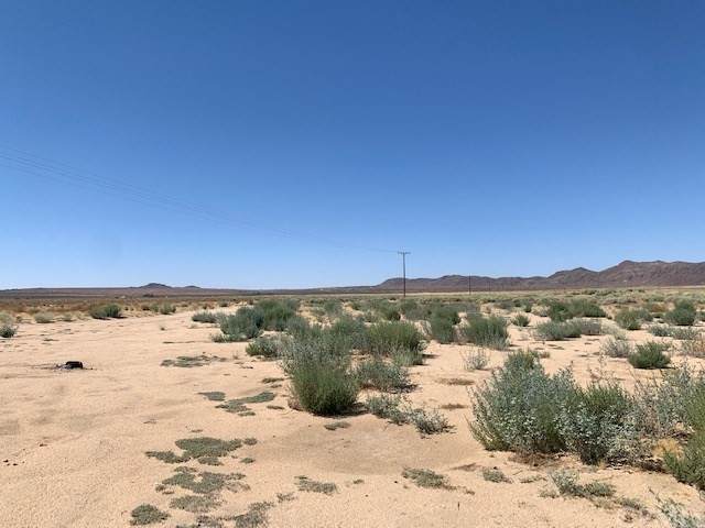 0 Sunever - Photo 1