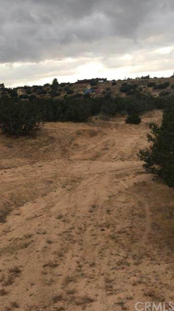 0 South Of The Mesa - Photo 1