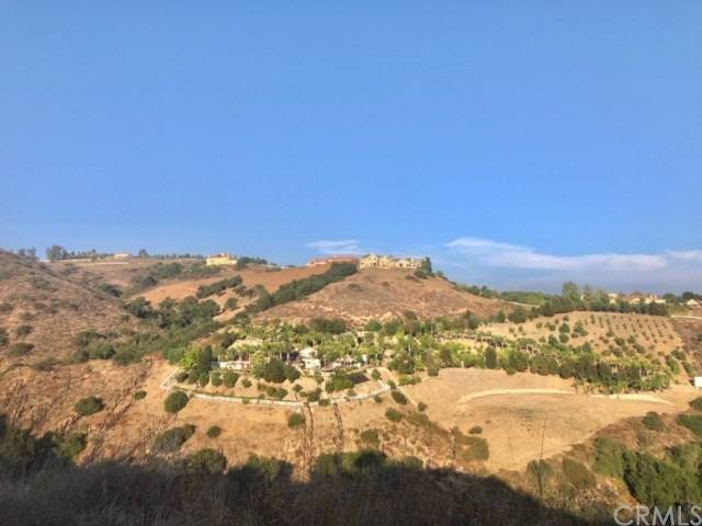 44892 Via Barranca - Photo 1